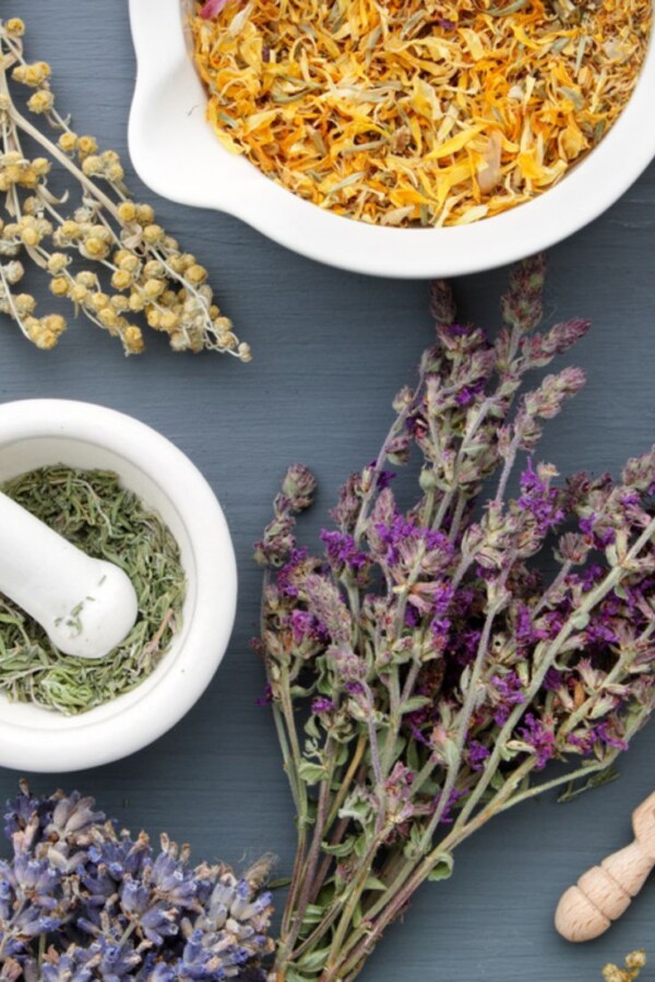 Bienfaits des plantes médicinales